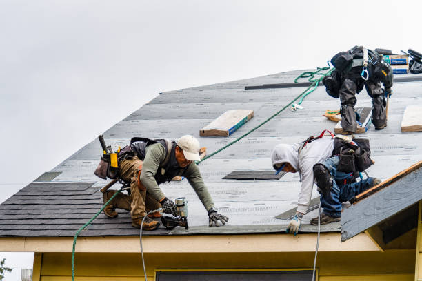 Professional Gutter Installation technician working in Davis, IL